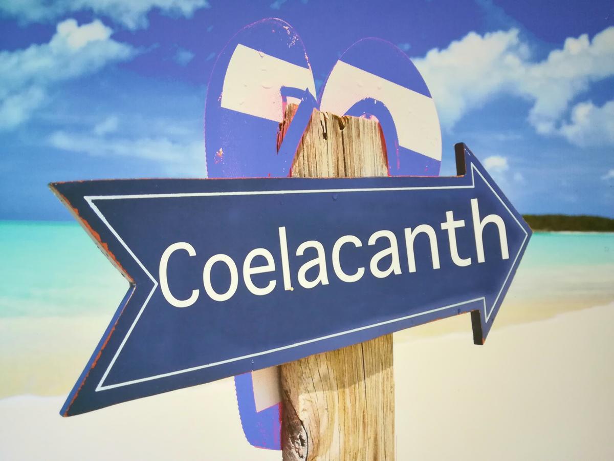 The Coelacanth Guest House And Beach Thyme Self Catering Kidd's Beach Экстерьер фото